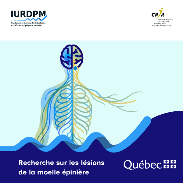 Dossier thématique sur lésions de la moelle épinière
