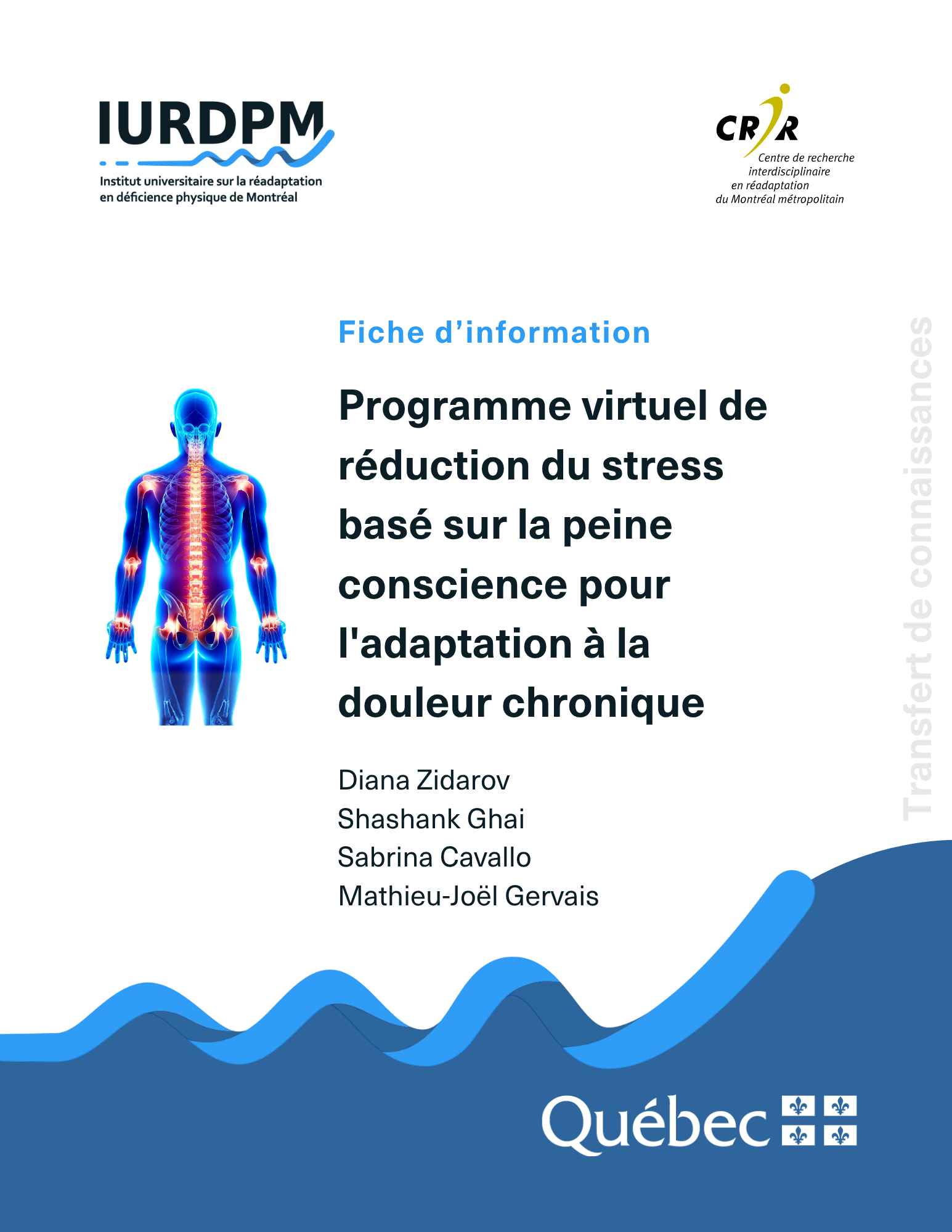 Programme virtuel de réduction du stress basé sur la peine conscience pour l'adaptation à la douleur chronique
