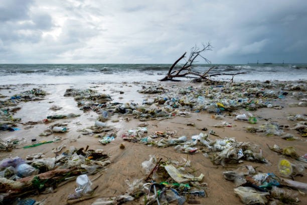 Visuel d'une plage à marée basse jonchée de tonnes de déchets déposés par les vagues évoquant la pollution